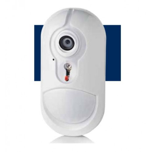 Intrusion Detectors