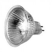 Halogen Bulbs