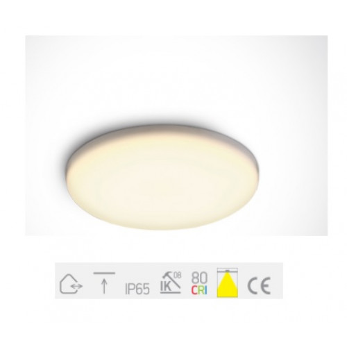 ONE Light, 10106CF/W, Frameless LED 6W WW IP65 230V