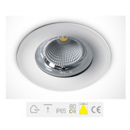 ONE Light, 10120G/W/W, White LED Downlight 20W WW IP65 60d 230V