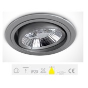 ONE Light, 11070RD/G, Grey 70w E27 PAR30 Adjustable Downlight