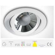 ONE Light, 11110A/W/C, White LED CW 10w 36d + Driver 100-240v