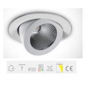 ONE Light, 11110F/W/C, White COB LED 10w CW 36d IP20 230v