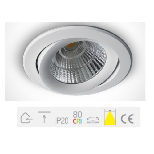 ONE Light, 11120C/W/C, White COB LED 20w CW 38d + Driver 230v