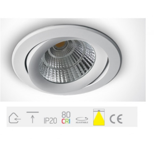 ONE Light, 11120C/W/W, White COB LED 20w WW 38d + Driver 230v