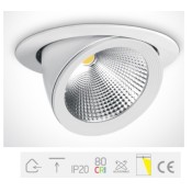 ONE Light, 11125F/W/C, White LED 25w CW COB 230v