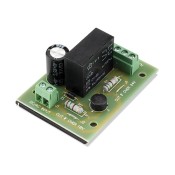 ICS, DBR200, 12~28Vac/Vdc Double Pole Relay