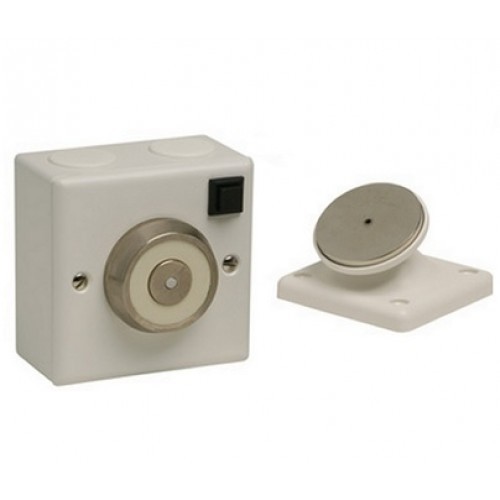 DH/BFS/24, 24Vdc Flush Brass Door Holder and C/W Switch