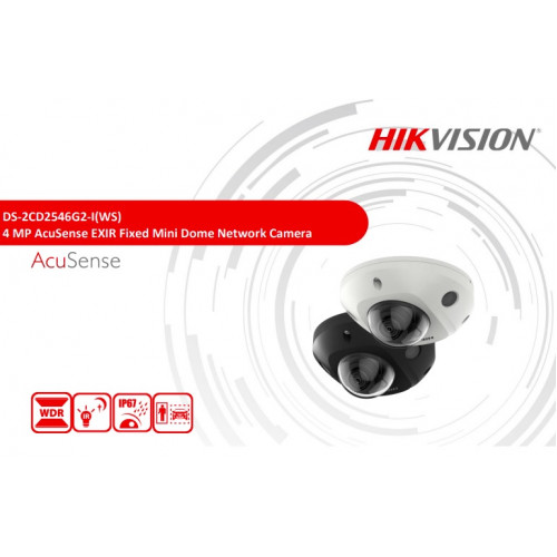 DS-2CD2546G2-I(WS), 4 MP AcuSense EXIR Fixed Mini Dome Network Camera
