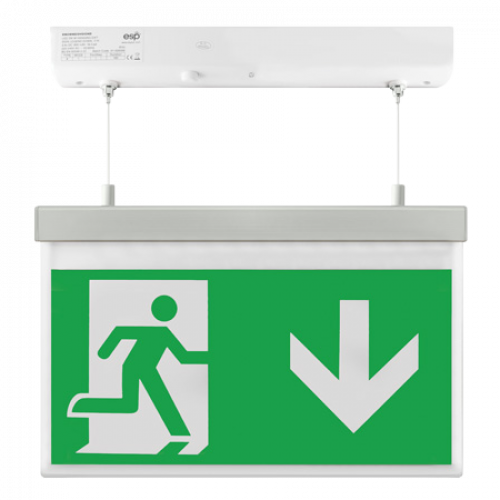 ESP (EMD2WMEXHSIGND) LED 2W Maintained Hanging Exit Sign Legend Down