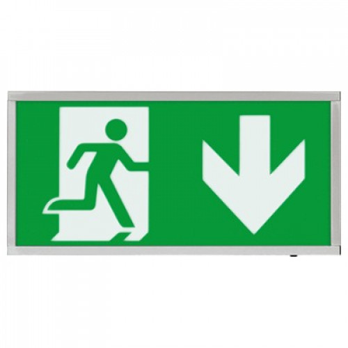 ESP (EMLED3WMEXBOXCHD) Emergency Exit Box 3W Chrome Down Legend