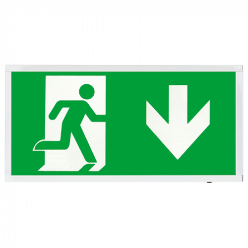 ESP (EMSTLED3WMEXBOXD) 3W LED Maintained Emergency Sign DOWN